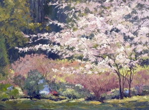 Spring Unleashes Her Glory