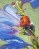 Lady Bug Lady Bug